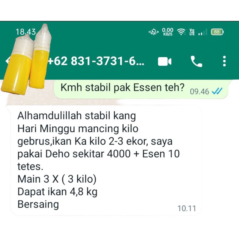 Essen Paling Bagus Untuk Lomba Mancing Ikan Mas, Umpan Paling Bagus Untuk Lomba Mancing Ikan Mas, Essen dan Umpan Ikan Mas terbaik, paket umpan dan essen gacor terbaik, Essen juara dan umpan juara untuk lomba mancing ikan mas harian dan Galatama