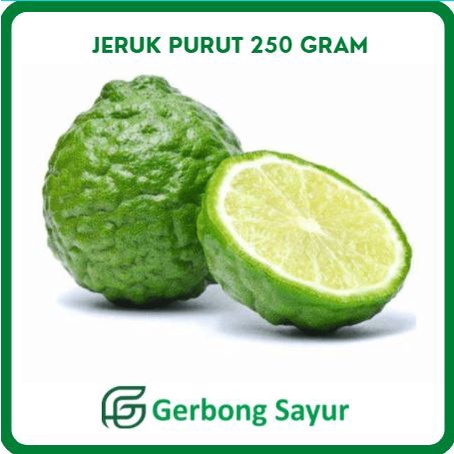 

Buah Jeruk Purut Segar Per Pcs