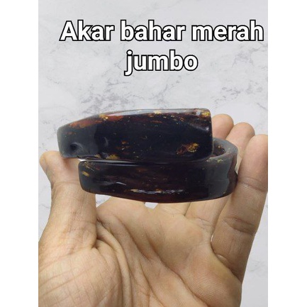gelang akar bahar merah jumbo berkualitas