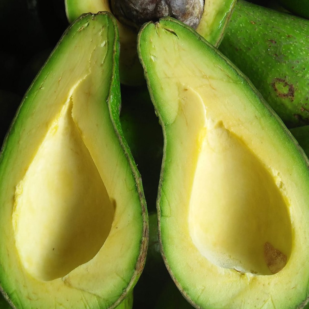 

ALPUKAT MENTEGA JUMBO AvocadBar [PAKET 5KG]