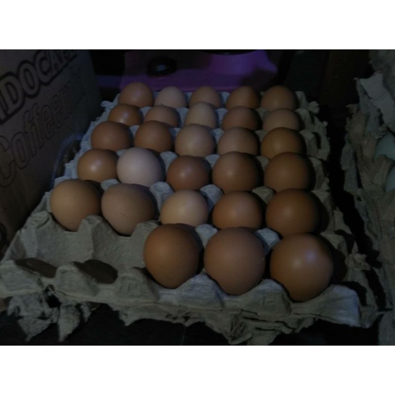 

Telur Ayam 1 Kg
