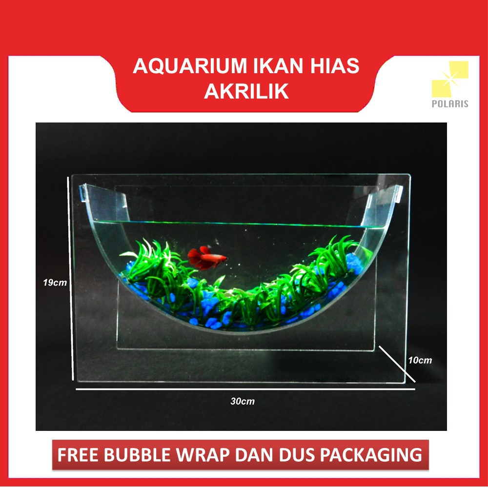 AKUARIUM IKAN CUPANG AKRILIK / AQUARIUM IKAN HIAS AKRILIK / AKUARIUM UNIK