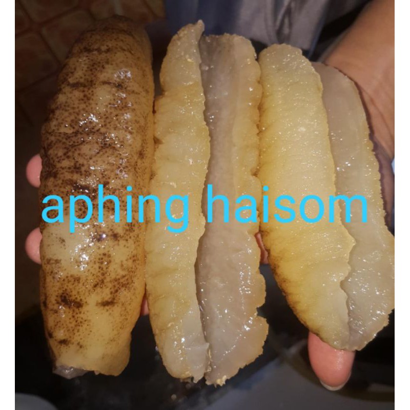 

haisom belitung