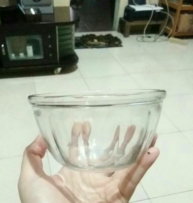 Box Mangkok Apel /bola /bunga Ukuran Diameter 12 Cm