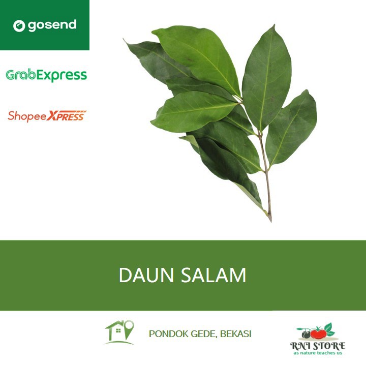 

Rempah - Daun Salam