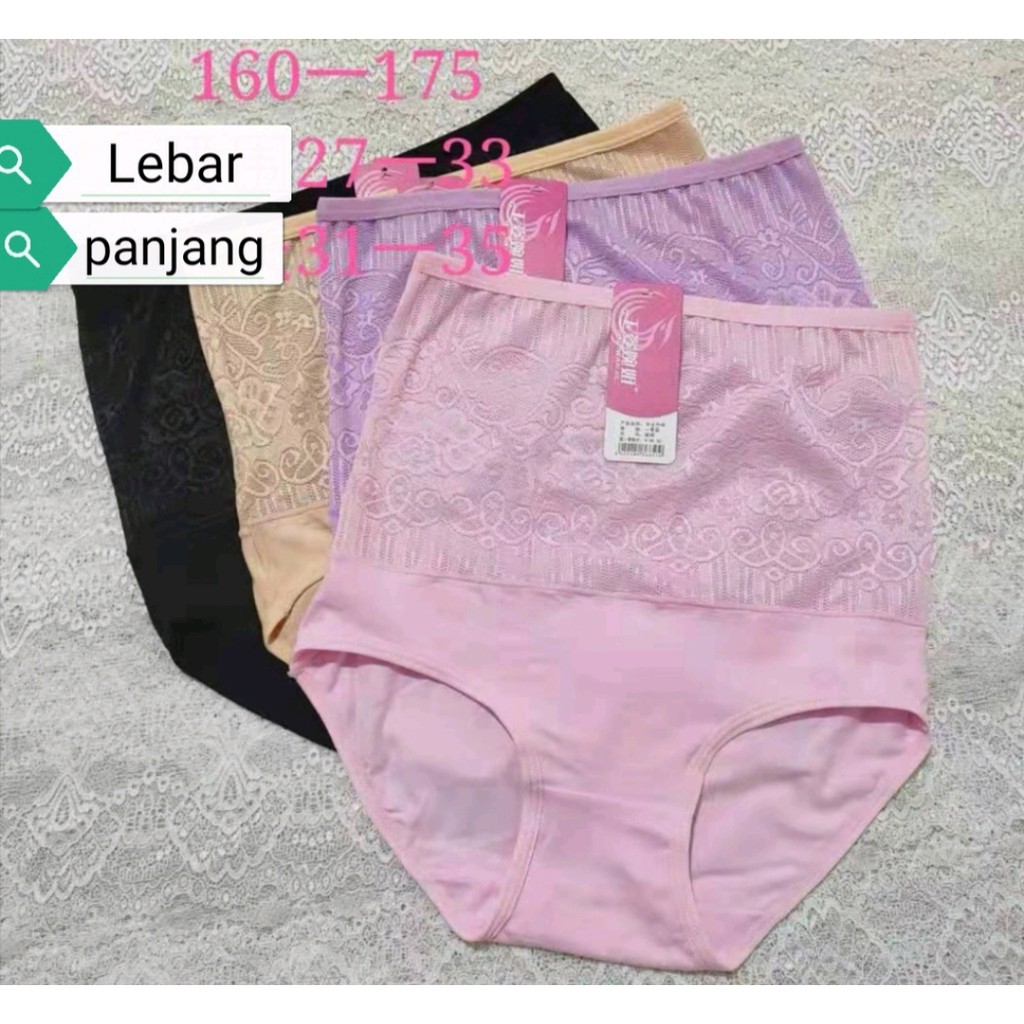 Celana Dalam Wanita / CD Under Pants model High Rise Import Seri 8126