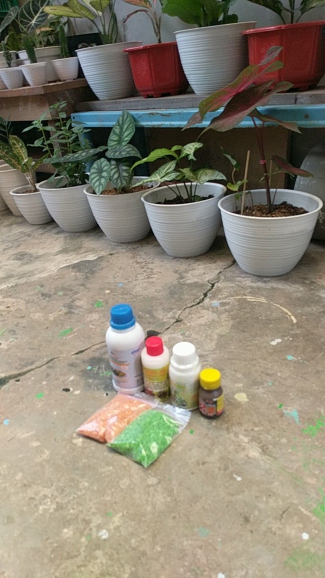 Pestisida Organik Pestigreen/ Pembasmi Hama Organik / Obat Hama Organik / Insektisida Organik