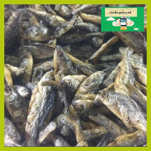 

5Yer67R- Ikan Danau Bilis/Bilih Tawar Padang T7Rty67-