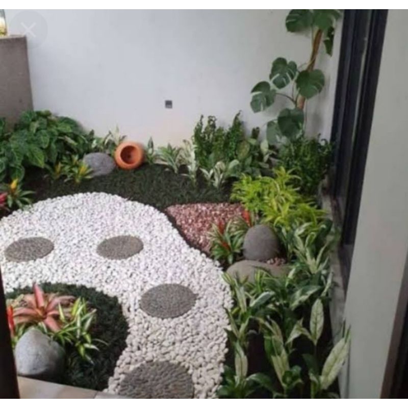 jasa pembuatan taman kering batu