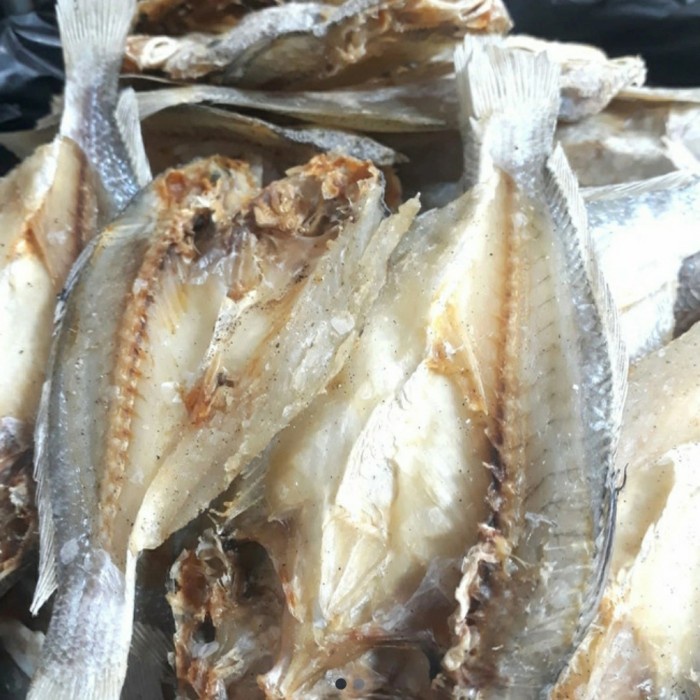 

ikan asin kepala batu 1kg