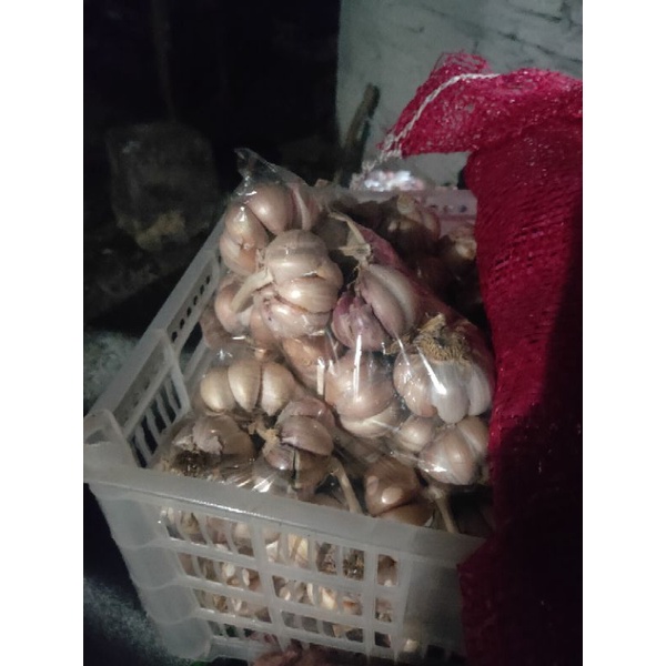 

Bawang Putih