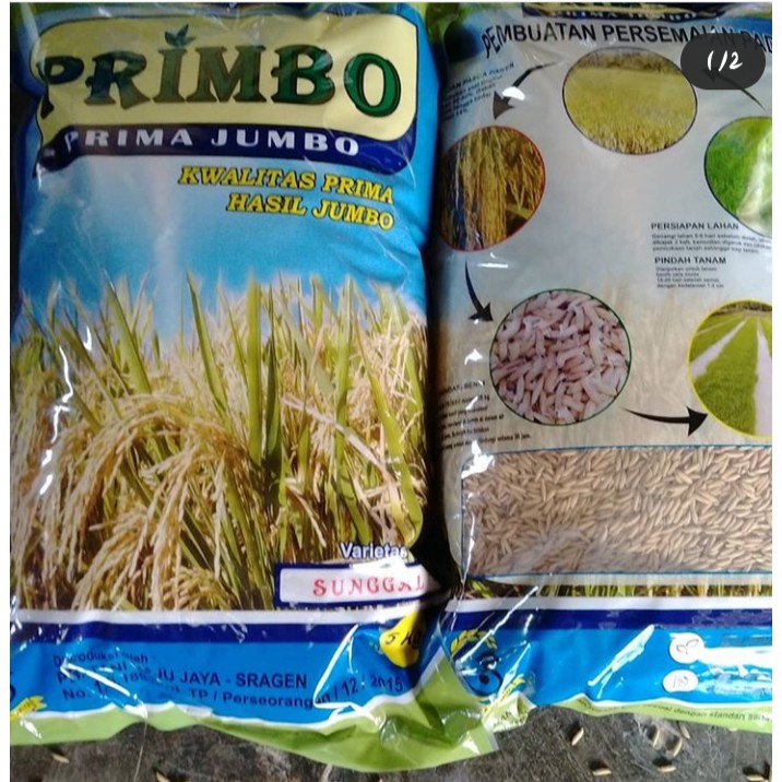 Bibit Padi PRIMBO Sunggal 5 kg 105-115 HST