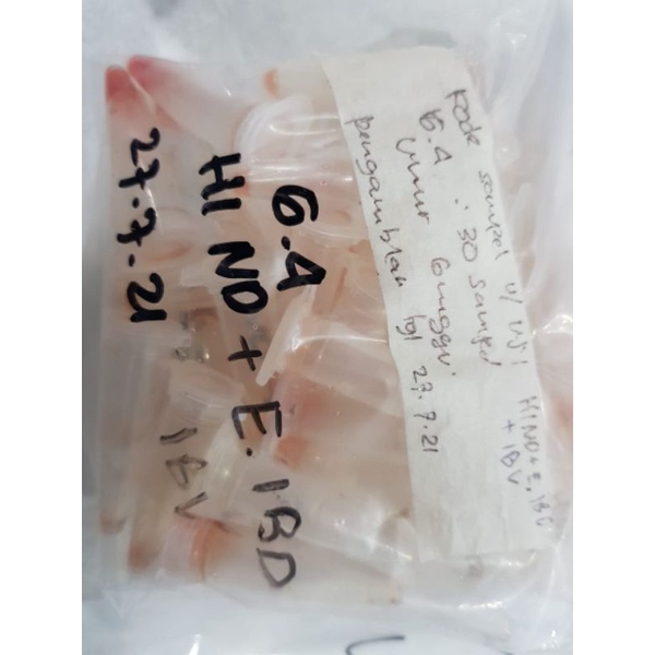 

Froozen Food untuk Test Lab
