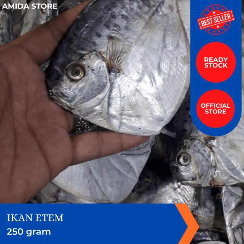 

Ikan Etem /250 gr