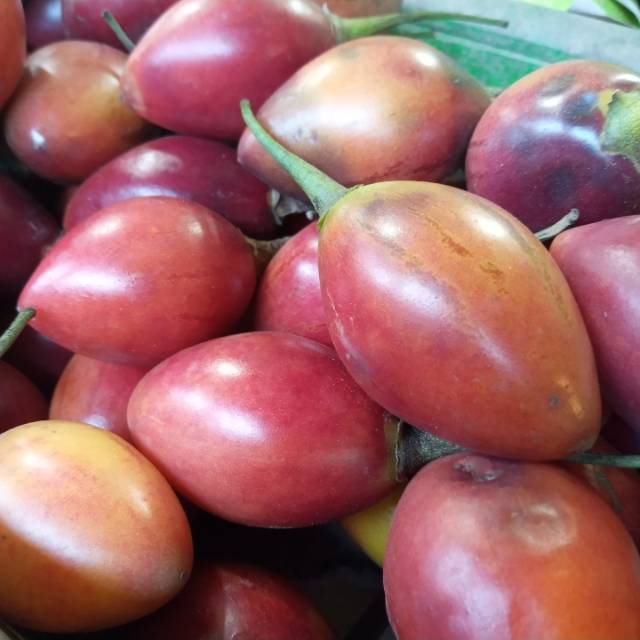 

Buah Terong Belanda 1kg