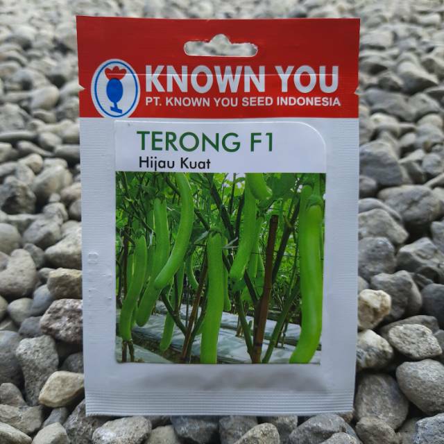 Benih Bibit Biji Terung HIJAU KUAT (80btr)