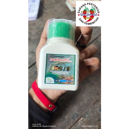 INSEKTISIDA SAGRI-PAS PLUS 287 SC 100 ML