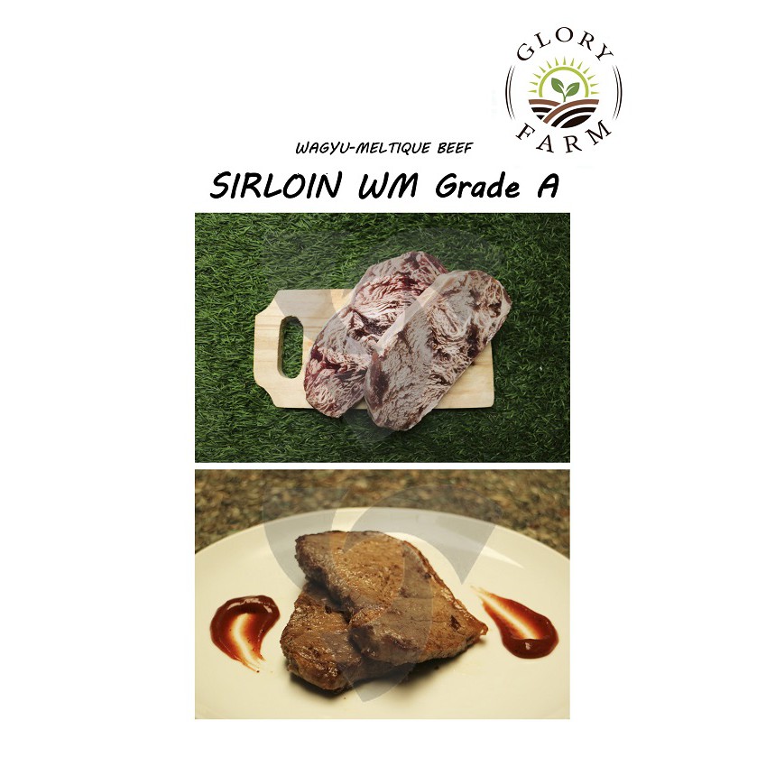 

Wagyu Meltique Sirloin Grade A 200gram 1pc @200 gram | GLORY FARM