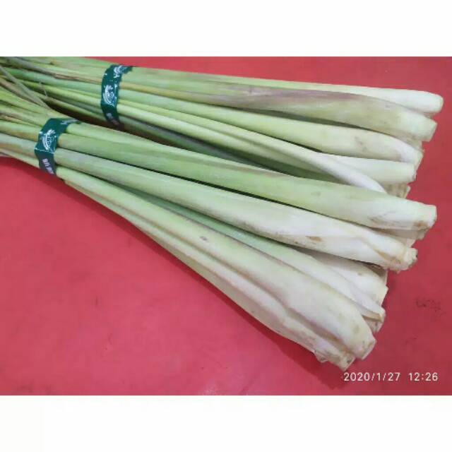 

Daun serai , batang serai , sereh 100gr