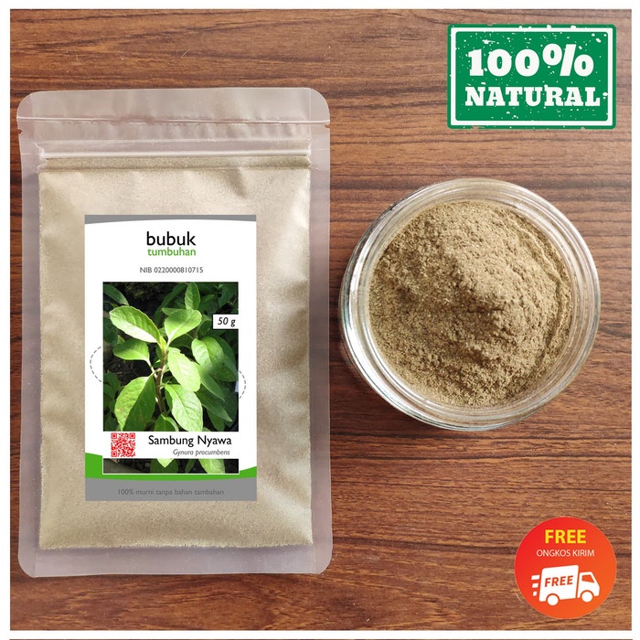 

Bubuk Sambung Nyawa 1 Kg Serbuk Daun Sambung Nyowo Simplisia Gynura procumbens