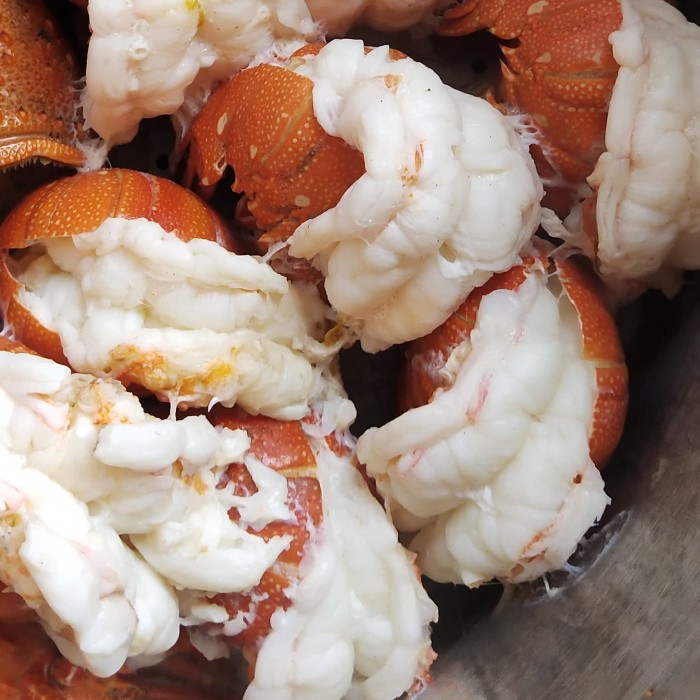 

Kkeanashop Lobster - Lada Garam