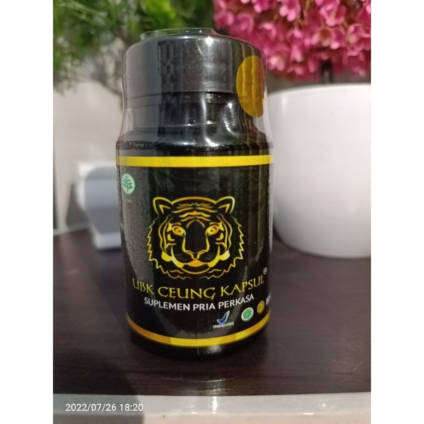 

UBK CEUNG KAPSUL