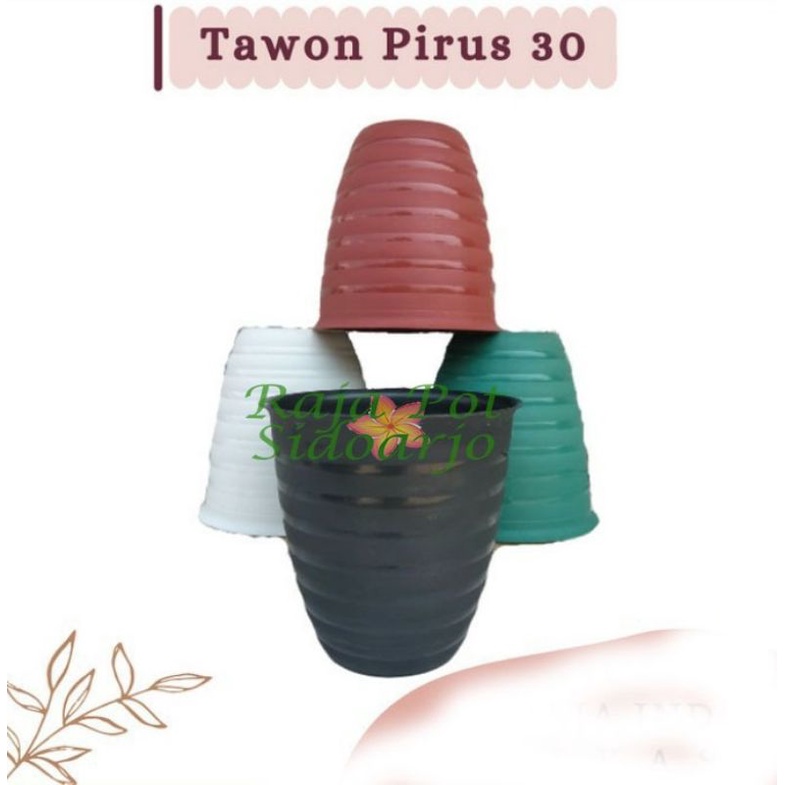 POT TAWON PIRUS 30 CM