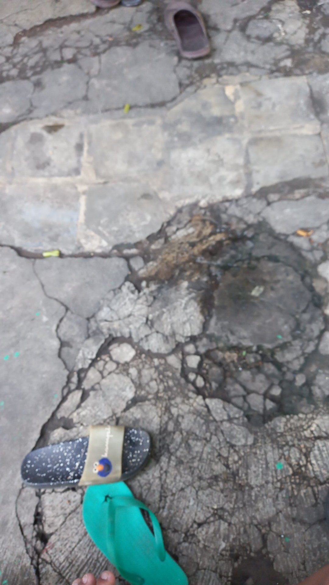 Kotak Wadah Multifungsi Dengan Model Kompartemen Untuk Organizer / Tempat Penyimpanan Pada Kulkas