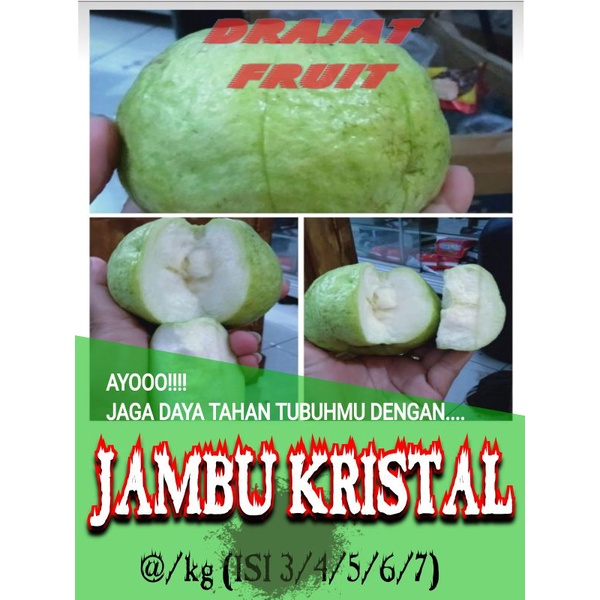 

JAMBU KRISTAL