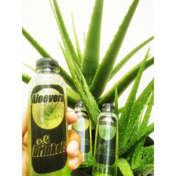 

Aloevera