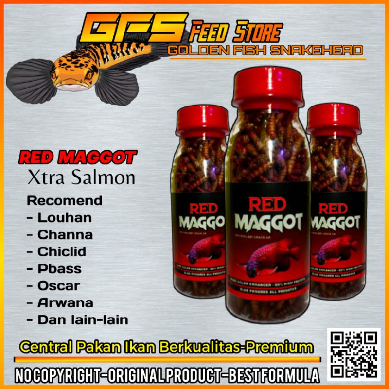 Red Maggot Pakan Channa Louhan Arwana Kemasan Botol 100 ml