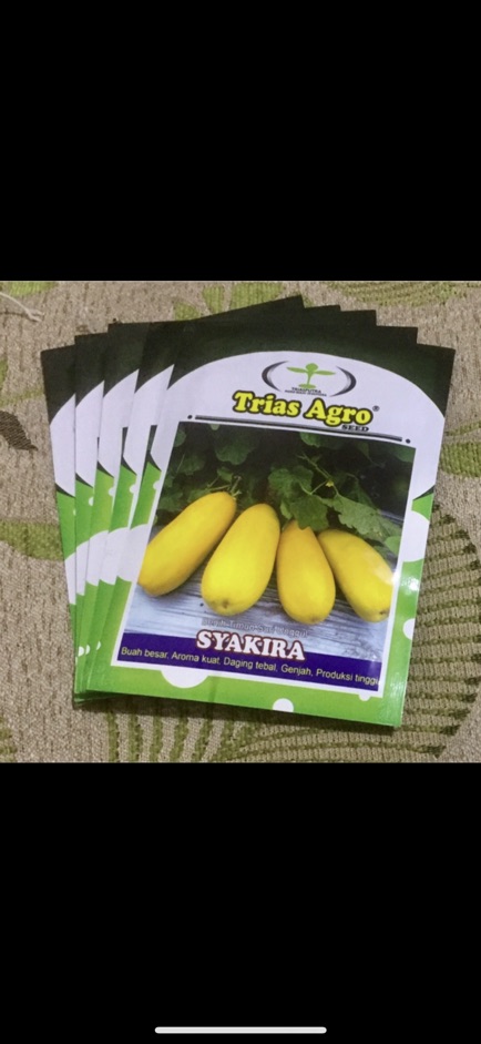 Benih Timun Suri Syakira 10 gr Trias Agro seed-2
