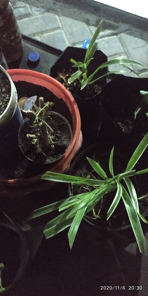 Rak Tas Gantung Mika Tebal  0,20