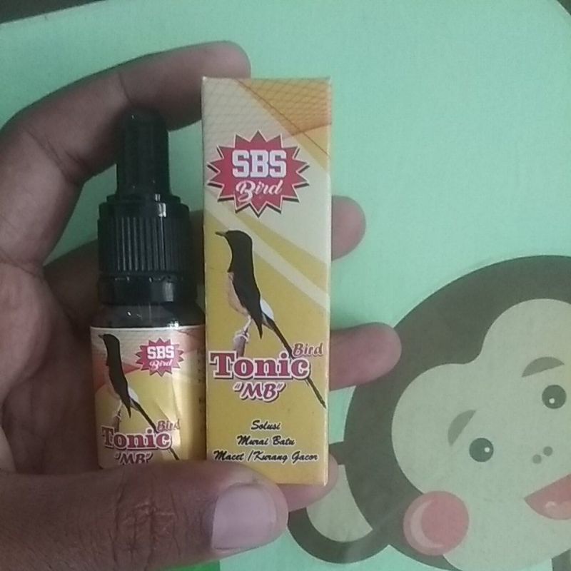 Vitamin / Obat Burung Murai Batu Macet Bunyi, jadi Gacor