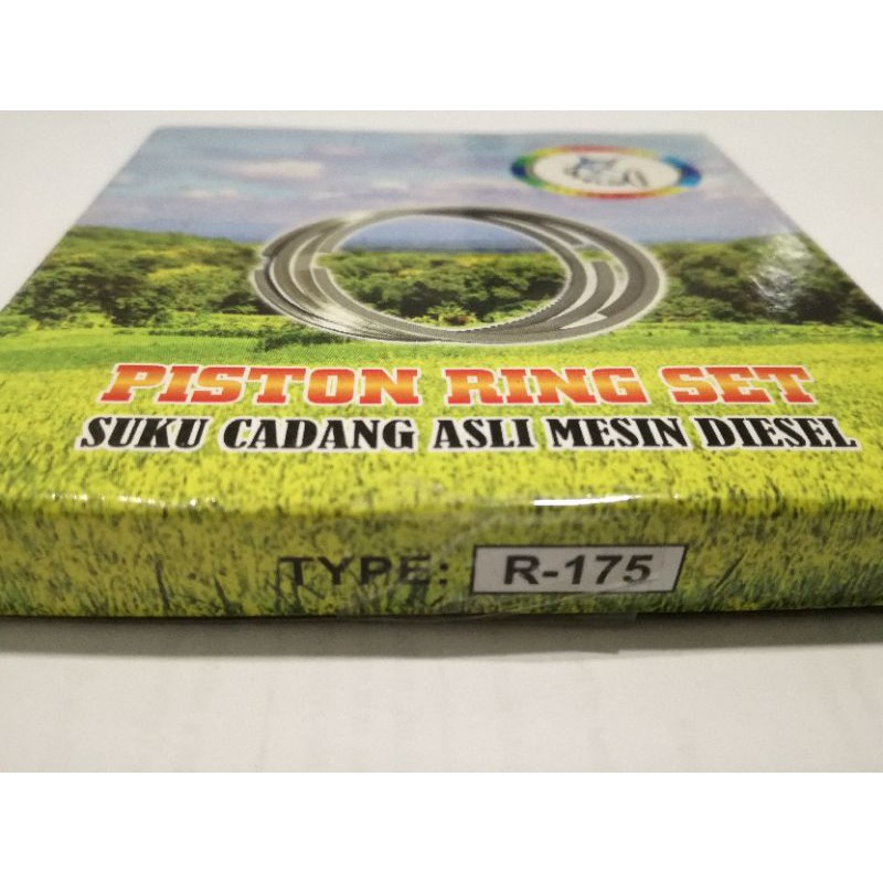 Ring Piston R175