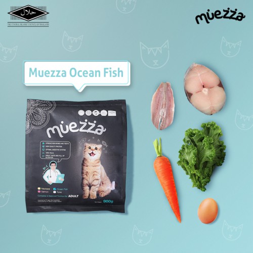 Makanan Kucing Kering Ocean Fish Flavor Muezza Cat Food Shopee Indonesia