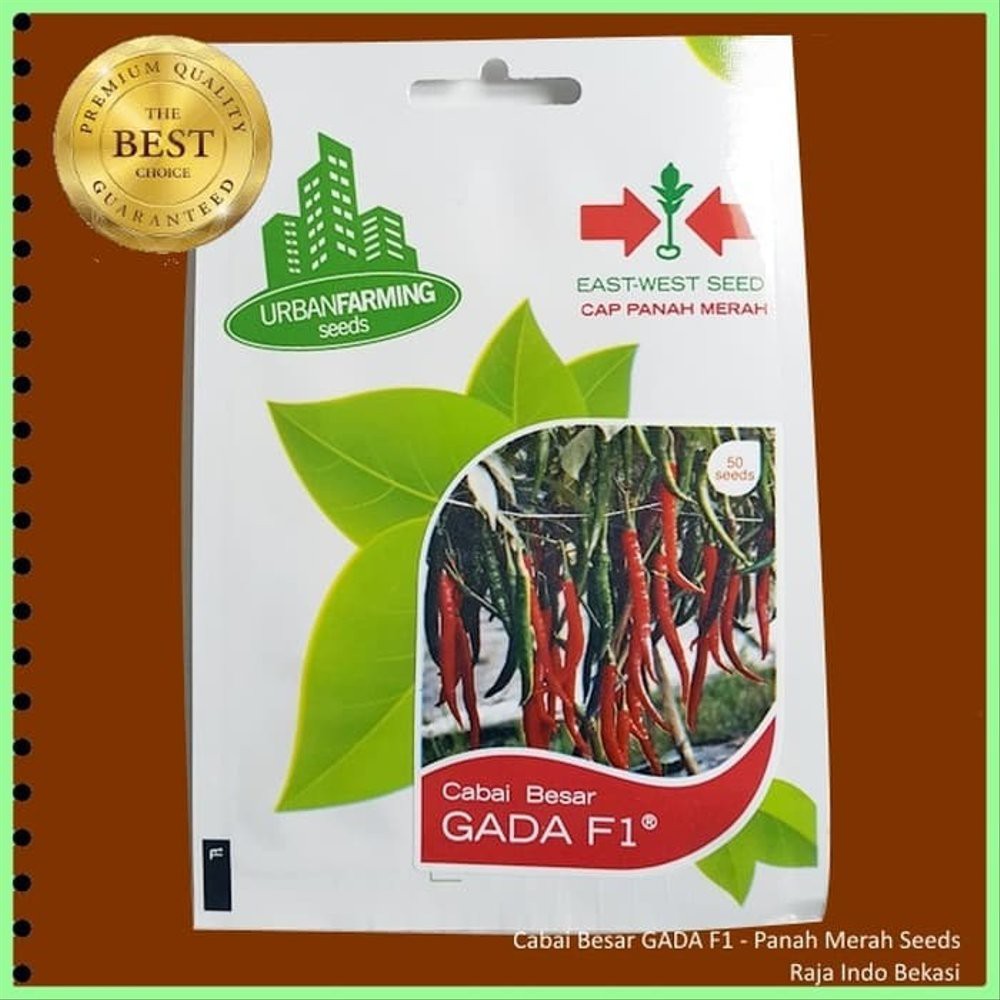 Benih Biji Cabai Besar Gada F1 Cap Panah Merah 50 Biji Cabe Terbaik bukan cabe kys cabai Terlaris