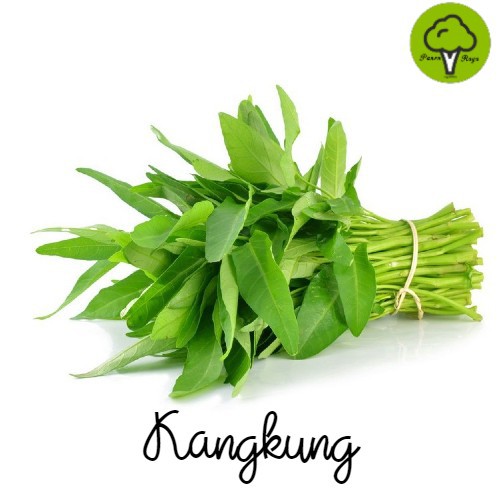 

SAYURAN / KANGKUNG [250GR]