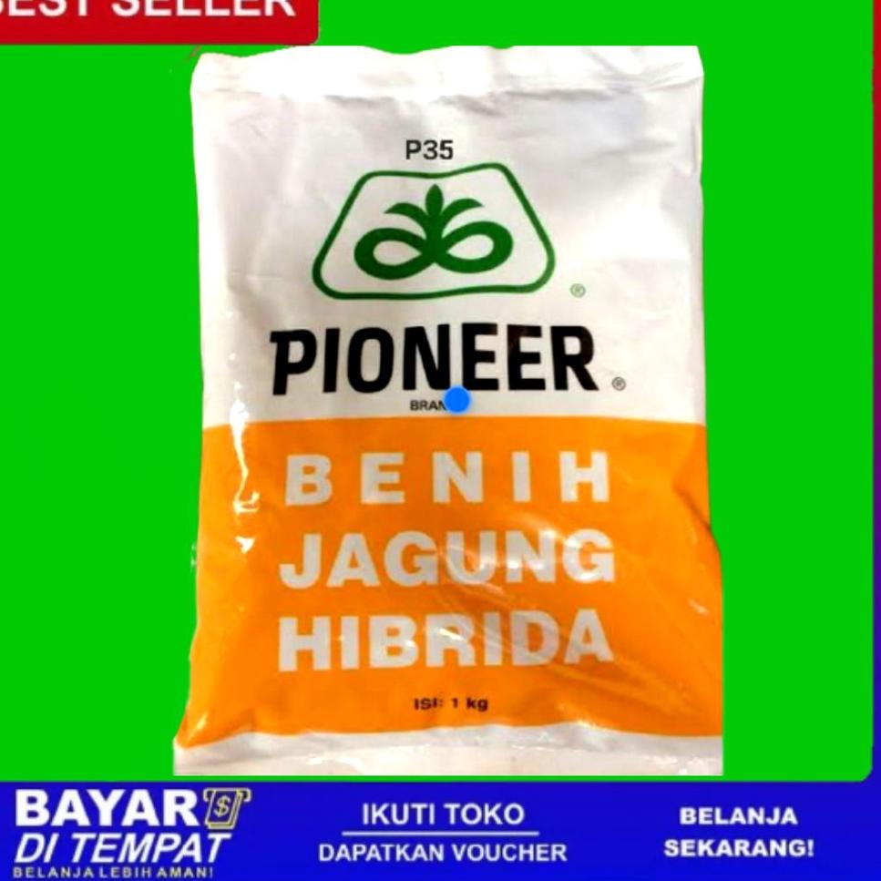 Koleksi Terbaru.. [ PROMO ] 1KG | benih jagung pioneer hibrida P35 1KG