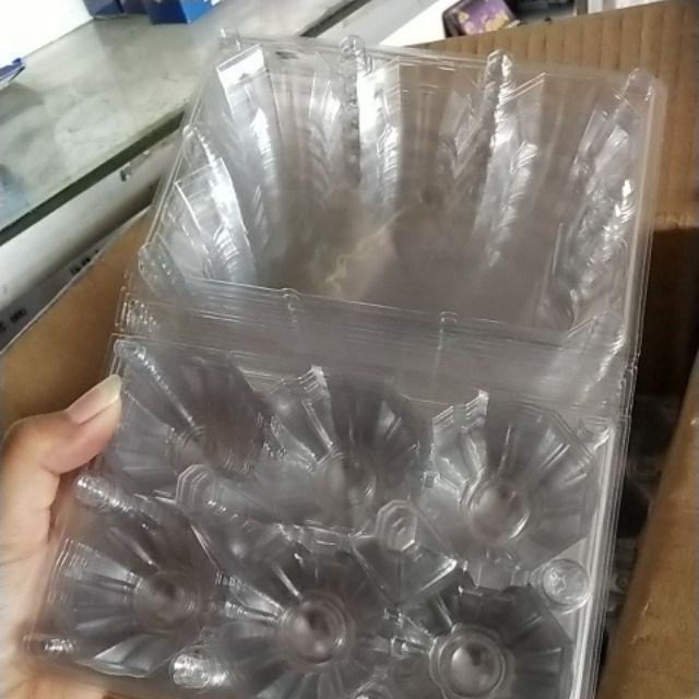 Egg Tray Klik / Mika Telur Klik 6