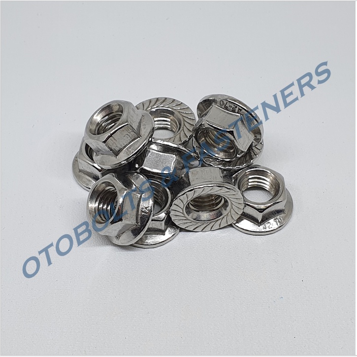 SUS304 Flange Nut M10 Stainless Steel