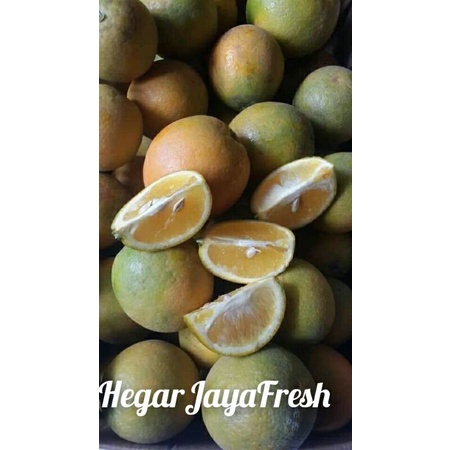 

jeruk lemon500g