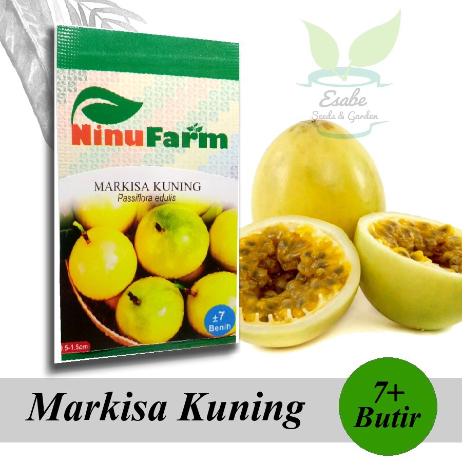 Biji Benih Markisa Kuning - Ninu Farm