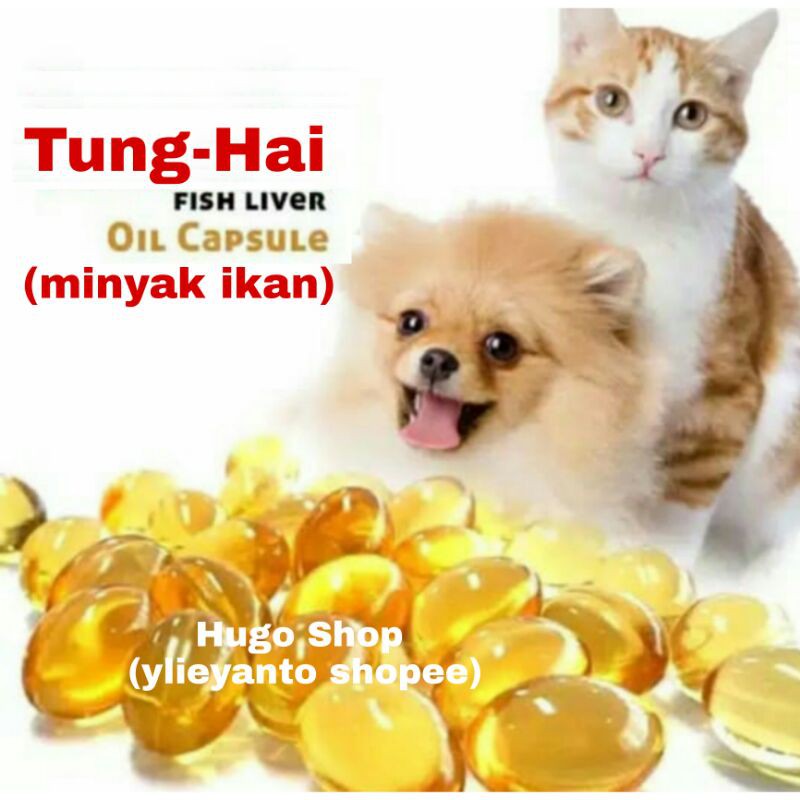 Minyak ikan Tung Hai / fish oil / minyak ikan kucing anjing / tunghai