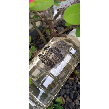 

moke premium tradisional khas flores ntt