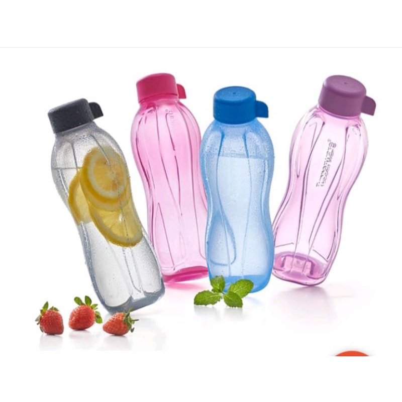 Botol Minum Tupperware 500 ml