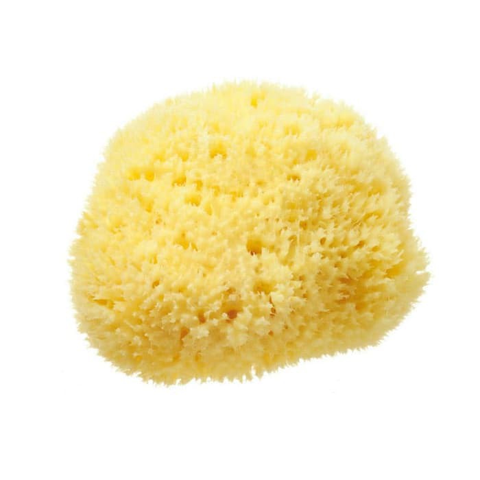 Bellini - Honeycomb Natural Sea Sponge