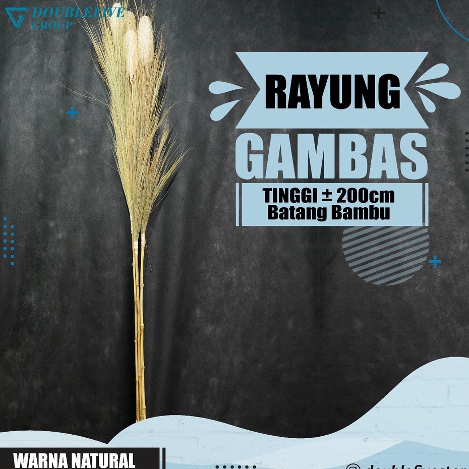 Rayung Home Decor Rayung Kering Panjang Rayung Natural Rayung Rustic Dekorasi Rayung Pampas  NATURAL