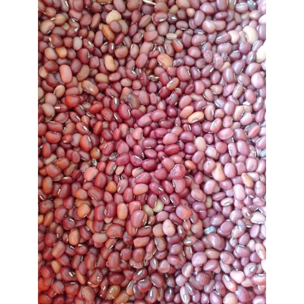 

Kacang Tago Manggarai