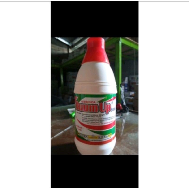 Herbisida Sistemik Bahan Aktif Gliposat 500 SL Ruum up ( Basmi Rumput)